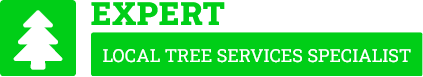 Wellington Tree Removal - Tree Removal Wellington